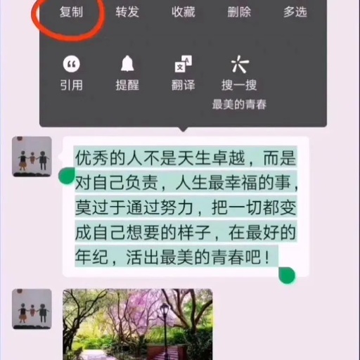 怎样在微信上复制图和文字