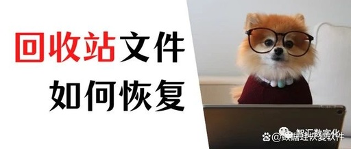 怎么把电脑回收站删除的文件恢复？