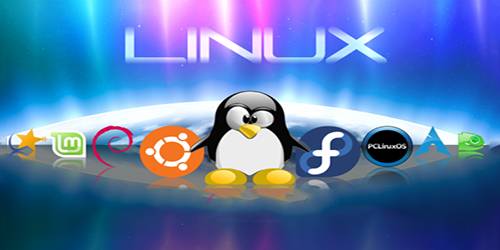 到底哪个版本的linux好用