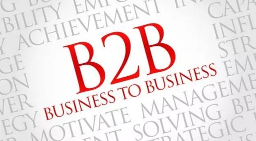 "B2B商务平台"是什么意思？
