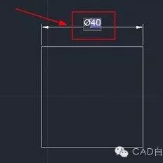 cad标注时，为什么我标的不显示数字啊