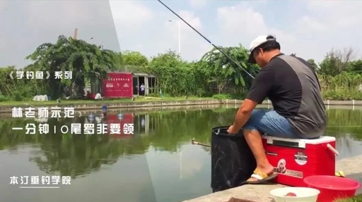 下雨怎么钓鱼摔杆怎么钓