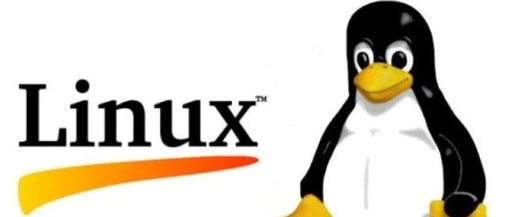 怎么看linux系统版本，怎么看linux系统版本命令