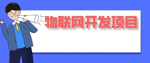 物联网小项目有哪些，物联网项目是什么意思