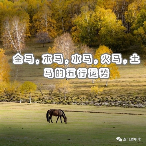 马：你们把我当旋转木马吗(木马是什么生肖)