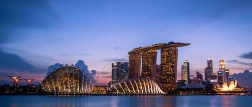 留学新加坡网络专业如何，新加坡留学网络专业申请要求
