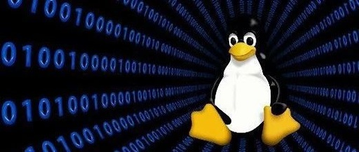 使用什么命令进入Linux的/user目录，打开终端时是在用户目录下，如何进行切换？