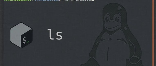 linux中ls是什么命令，linux的ls命令什么意思