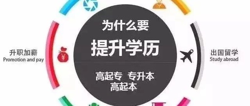 成考大专专业哪个好考