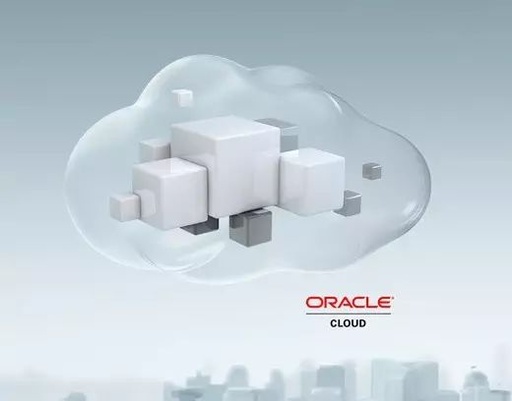 怎样打开oracle dmp文件