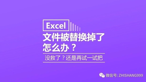 Excel文件被替换了，怎么找回来？请教高手