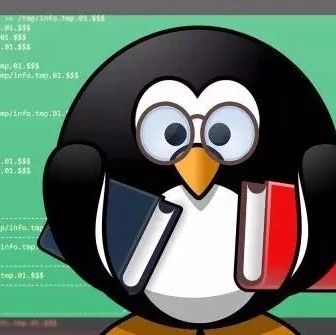 用虚拟机安装linux,以后怎么启动linux