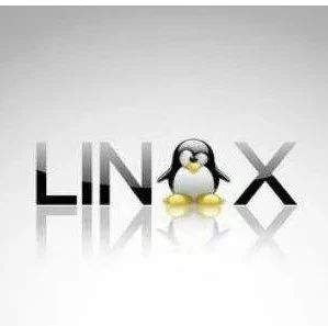 linux怎么进入命令界面，linux怎么进入命令界面快捷键