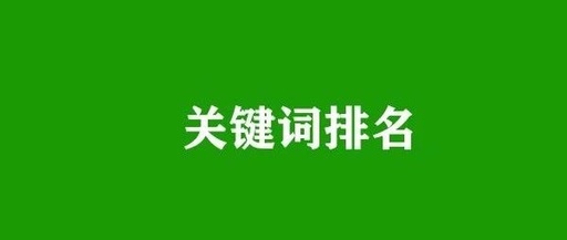 百度排名优化是什么意思？