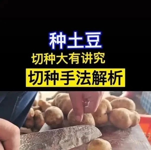 土豆如何种植的视频，土豆种植教程