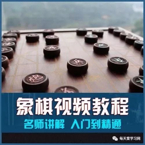 适合儿童的象棋入门教程哪里有?