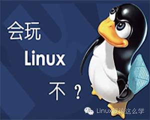 linux查看是什么系统，