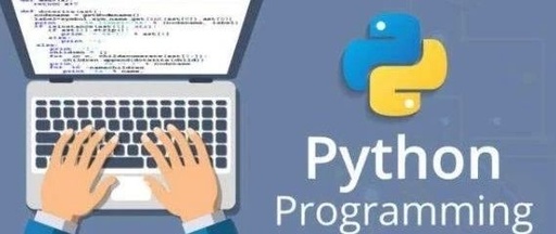 用python写一个程序