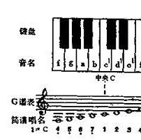 如何认识简谱？就是能够教你红框框里符号意思的视频？（如图）