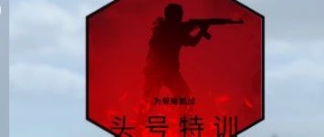 csgo怎么发掩护我的语音提示