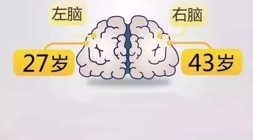 移动app和小程序在测试上重点是是什么？