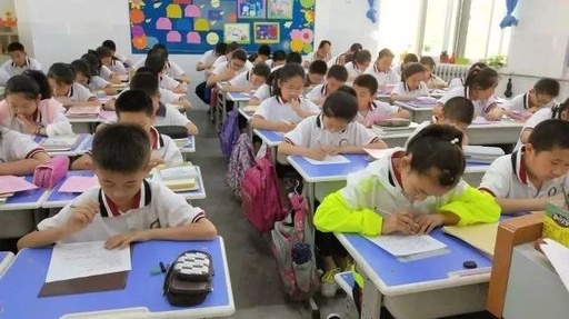 我孩子想让他网上学习小学课程不去学校了，有没有这种远程教育或函授的最好正规有毕业证书的谢谢