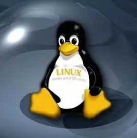 linux中怎么查看进程被那个端口占用