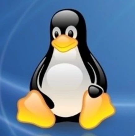 linux命令怎么把一个文档下的所有文件都改名？