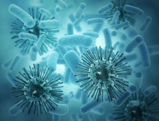 什么是病毒感染什么是细菌感染，什么是病毒感染什么是细菌感染?