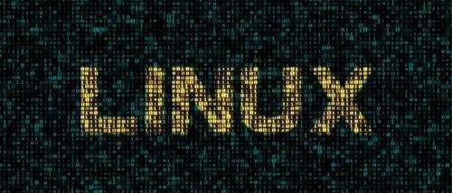 linux系统下载下来的文件 默认是放在哪个文件夹里？
