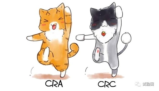 crc和cra哪个好，crc,cra,cro