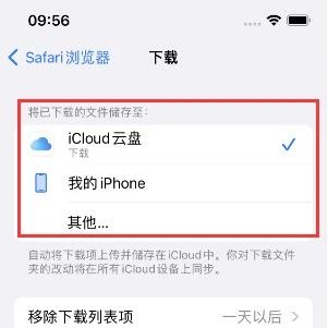 iphone从APPSTORE下载的东西如何删除